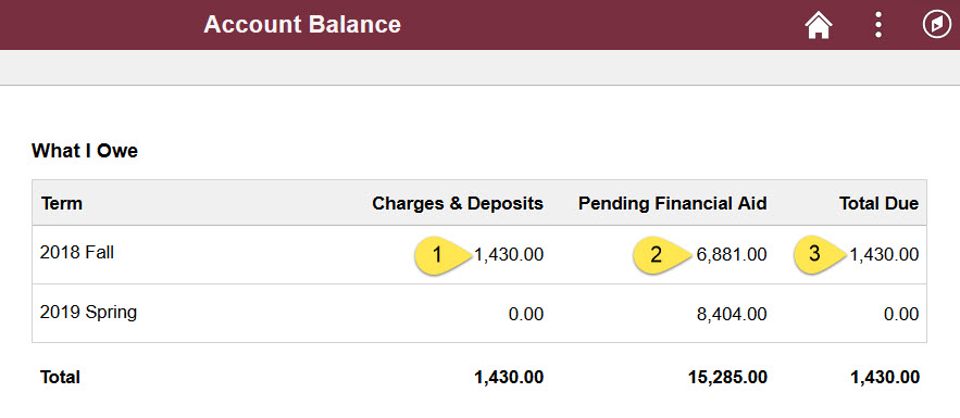 Account Balance.jpg