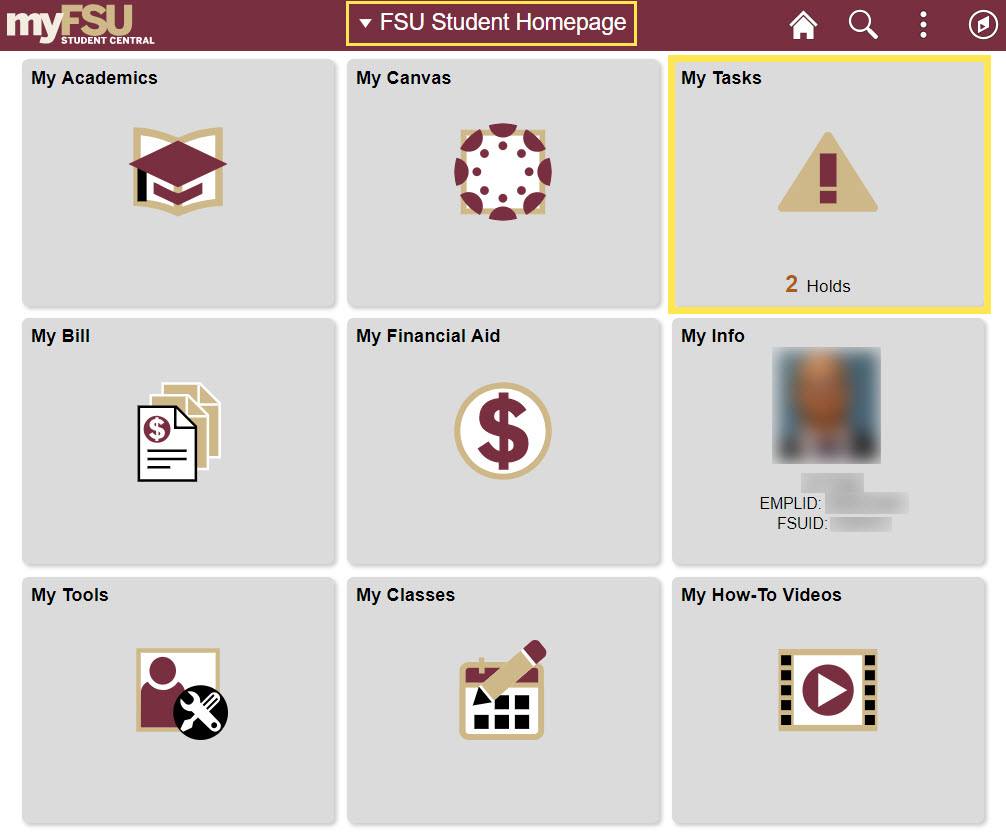 FSU Student Homepage.jpg